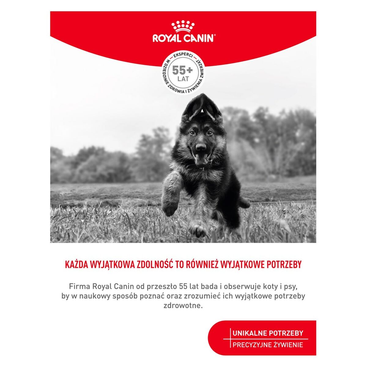 Snack para Perros Royal Canin Training Treats 110 g