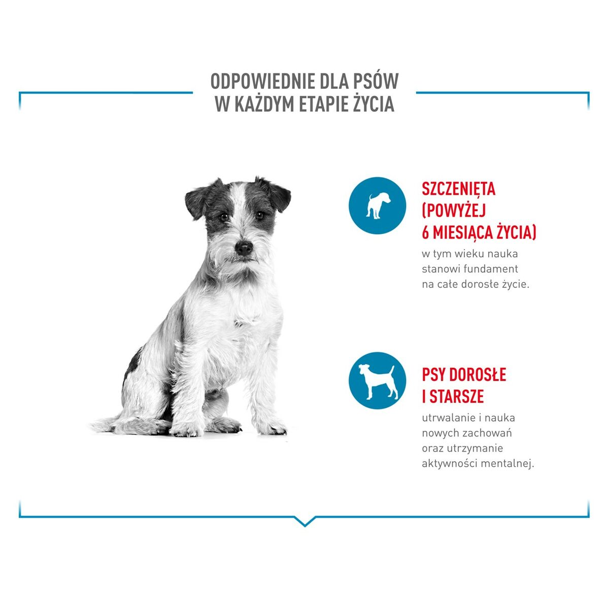 Snack para Perros Royal Canin Training Treats 110 g