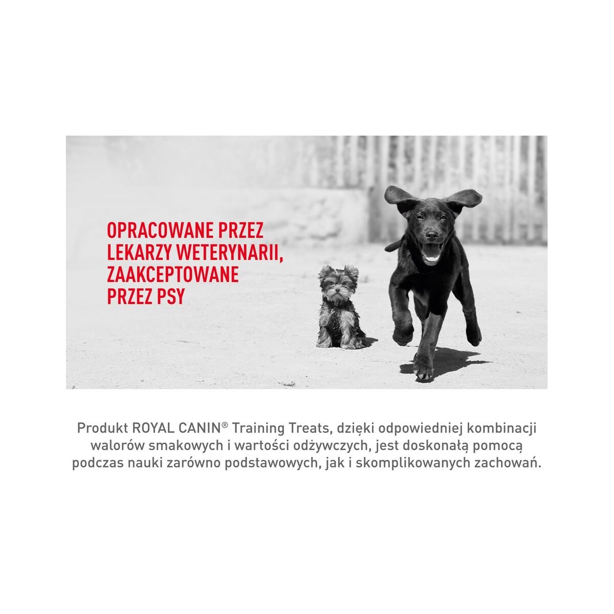 Snack para Perros Royal Canin Training Treats 110 g