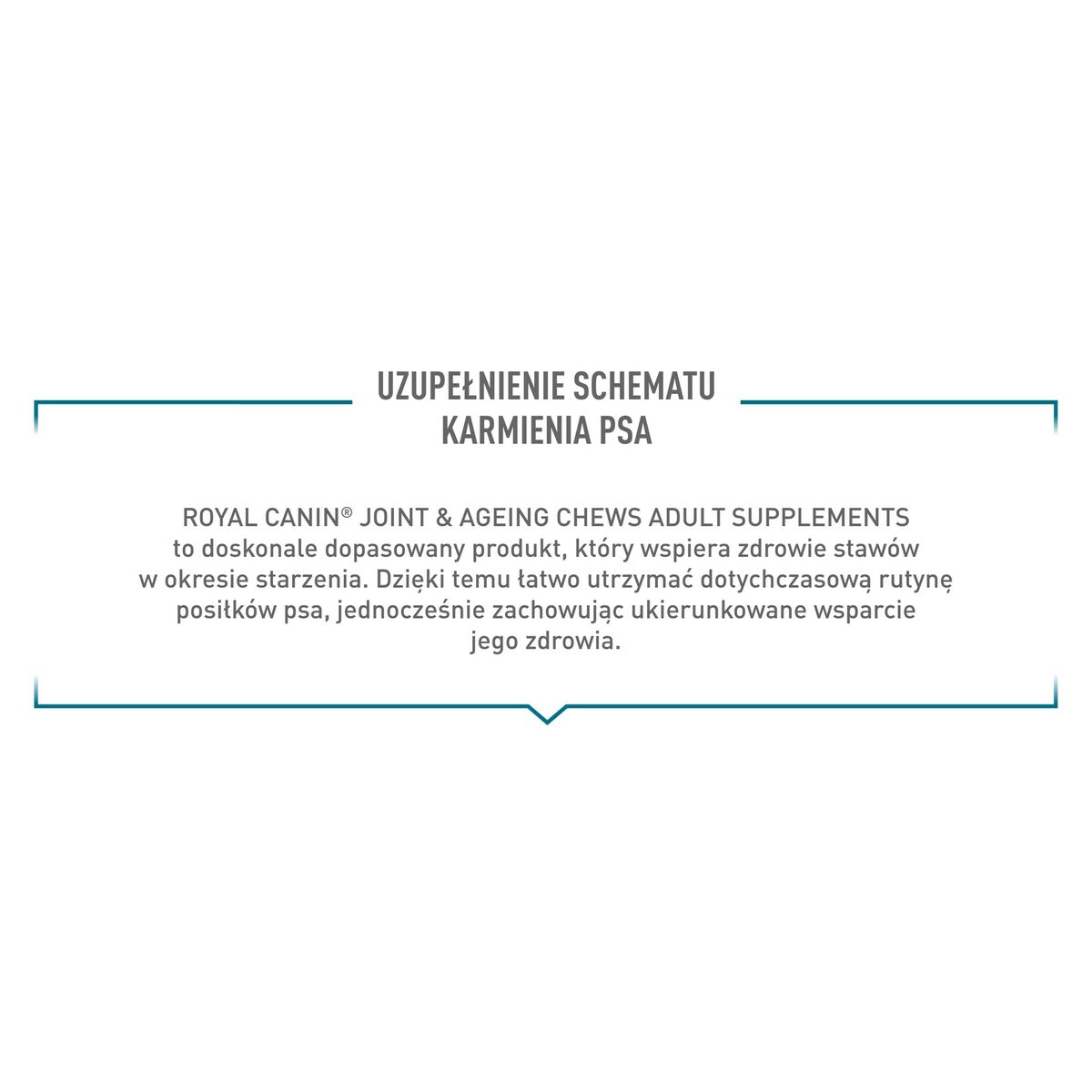 Snack para Perros Royal Canin Supplements Dog Joint & Ageing Adult 240 g