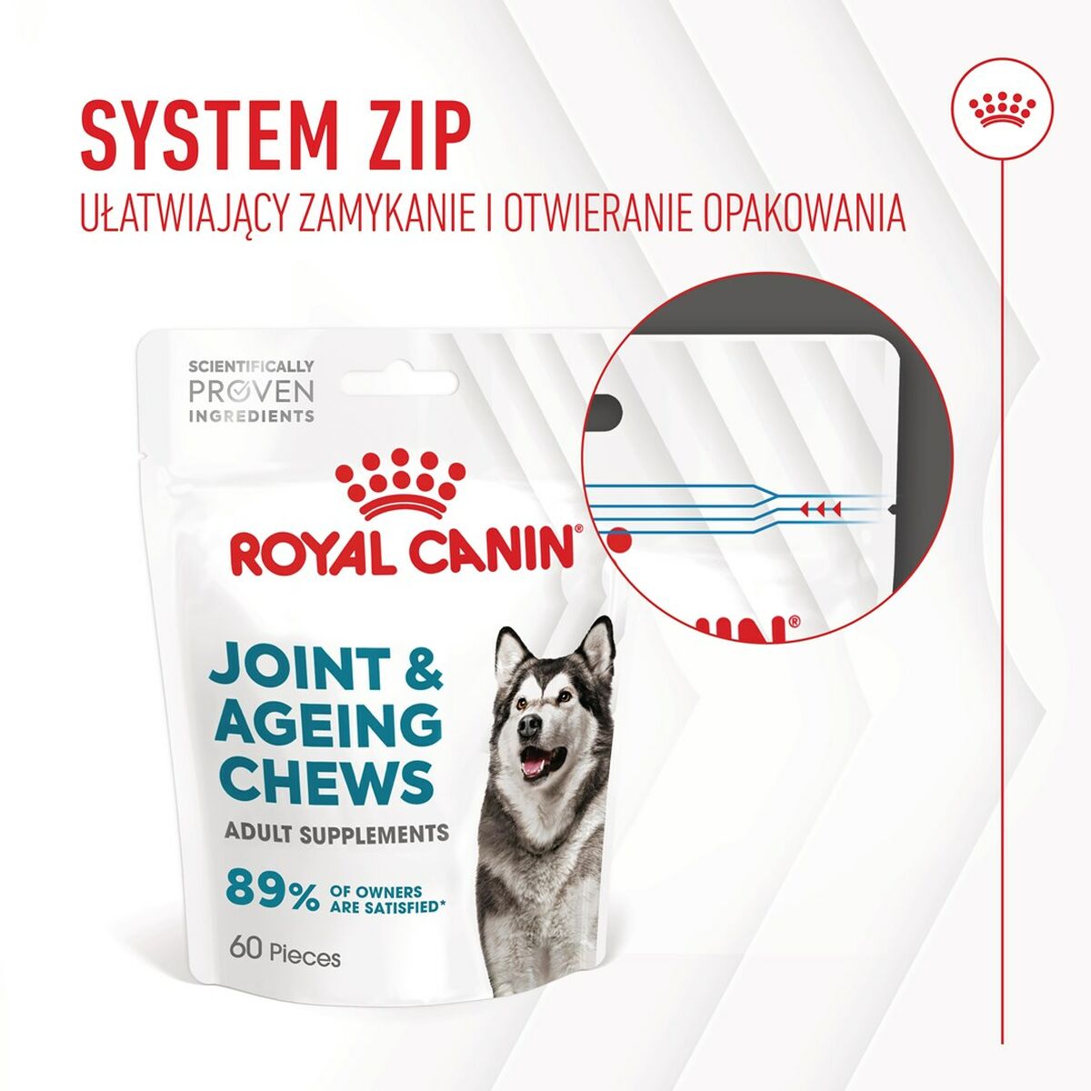 Snack para Perros Royal Canin Supplements Dog Joint & Ageing Adult 240 g