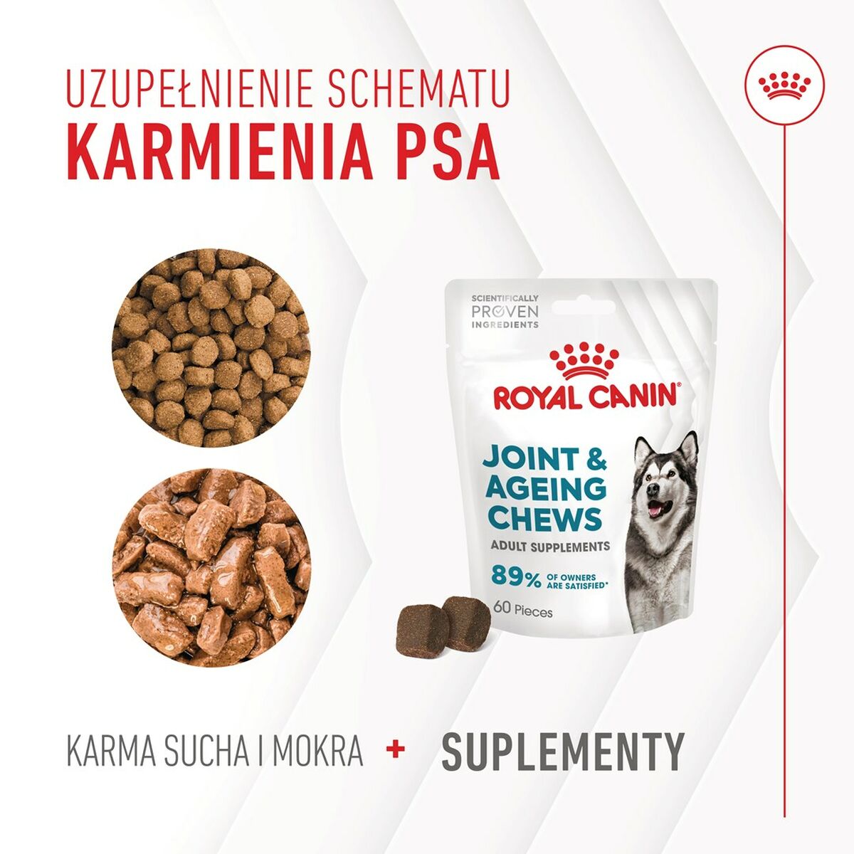 Snack para Perros Royal Canin Supplements Dog Joint & Ageing Adult 240 g