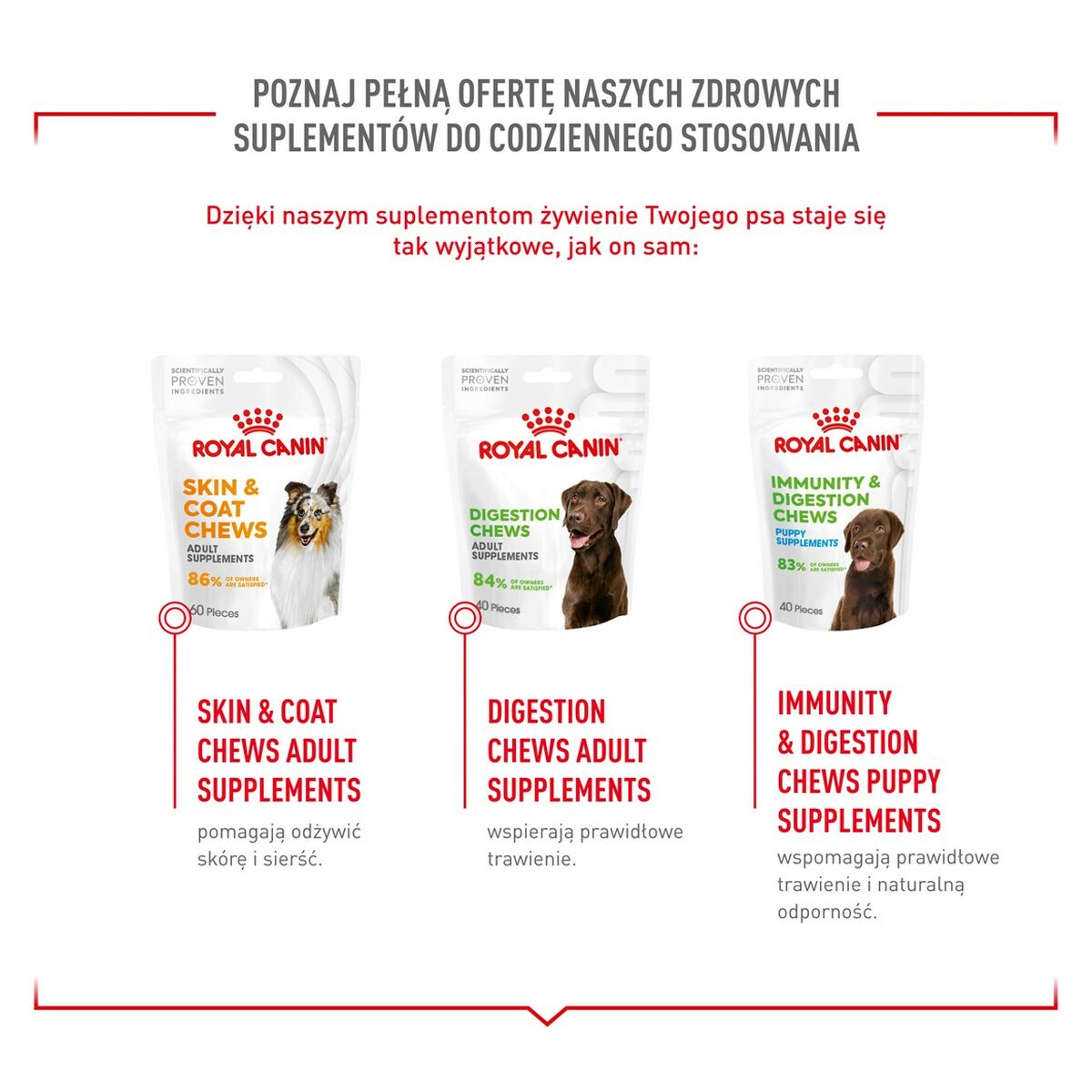 Snack para Perros Royal Canin Supplements Dog Joint & Ageing Adult 240 g