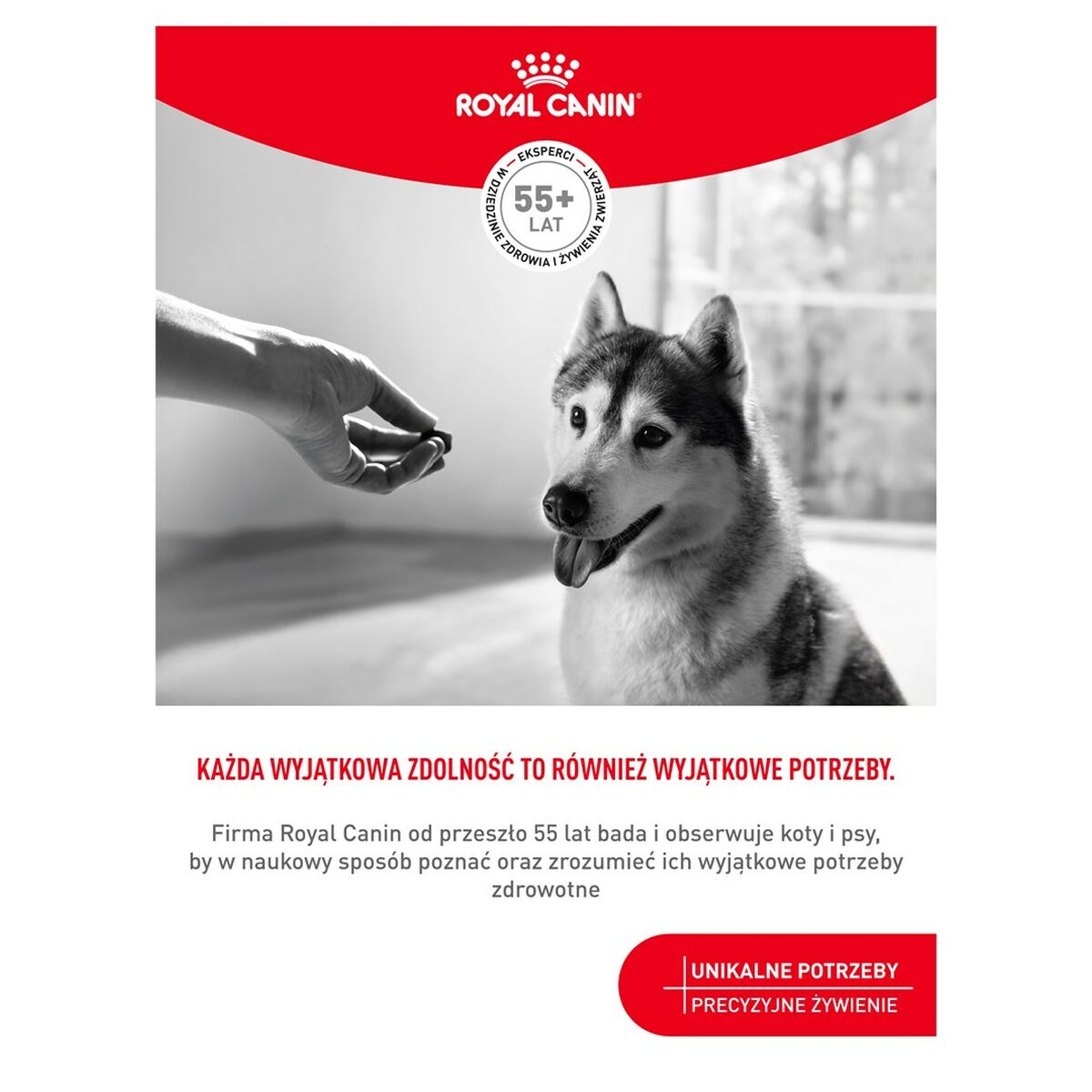 Snack para Perros Royal Canin Supplements Dog Joint & Ageing Adult 240 g