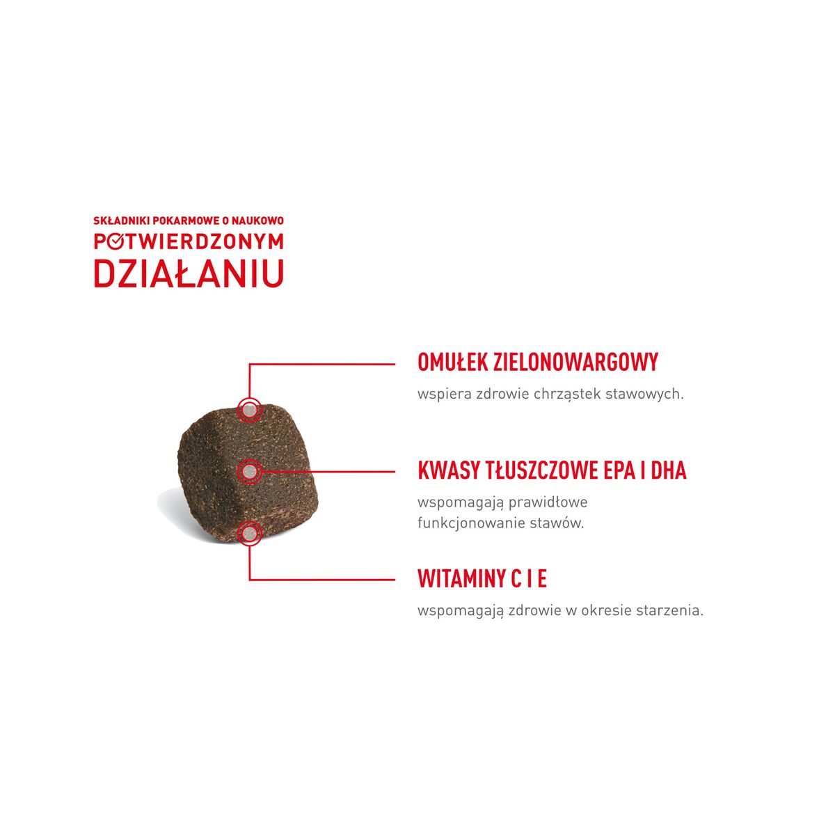 Snack para Perros Royal Canin Supplements Dog Joint & Ageing Adult 240 g