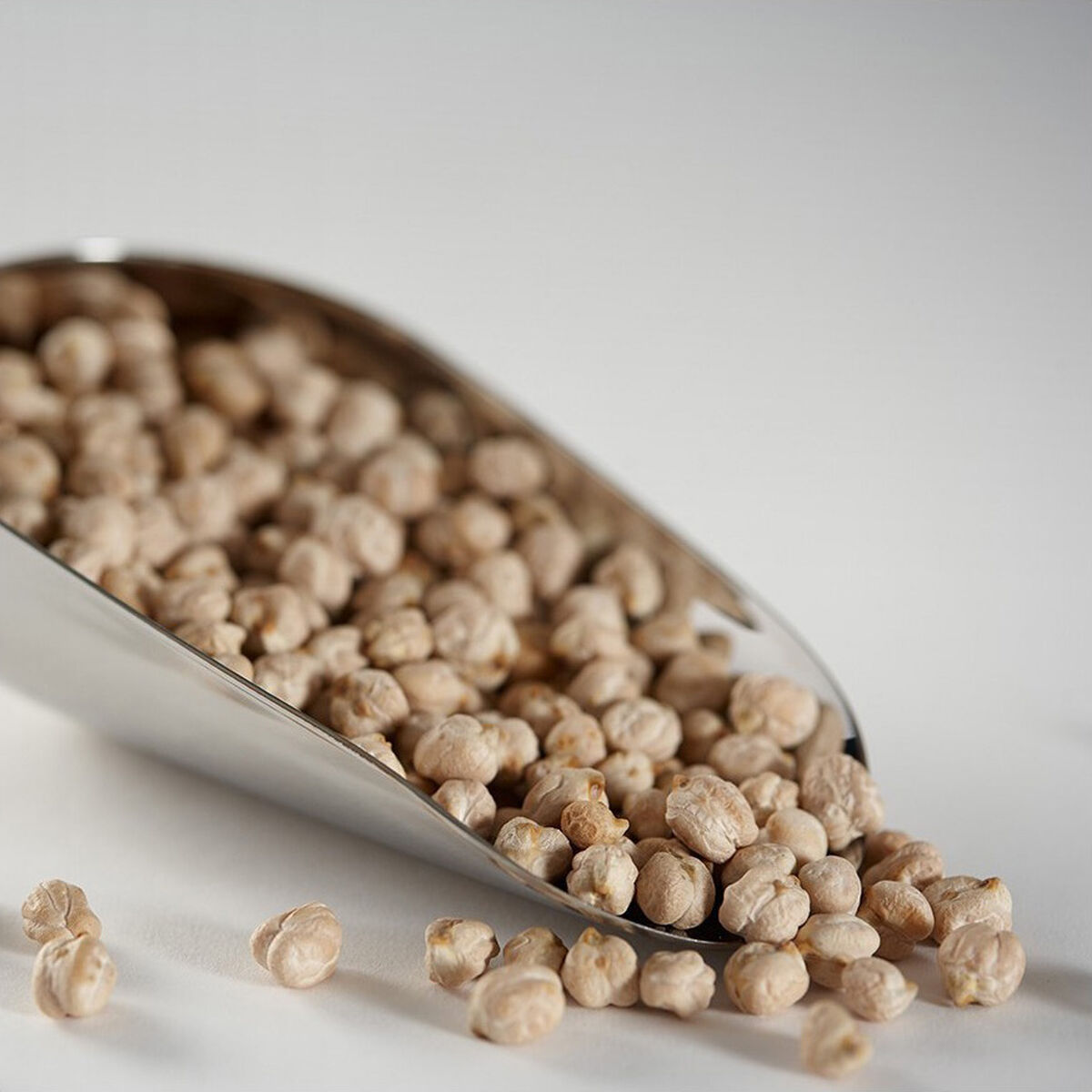 Paleta de Cocina Quttin Aluminio 18,5 cm (24 Unidades)