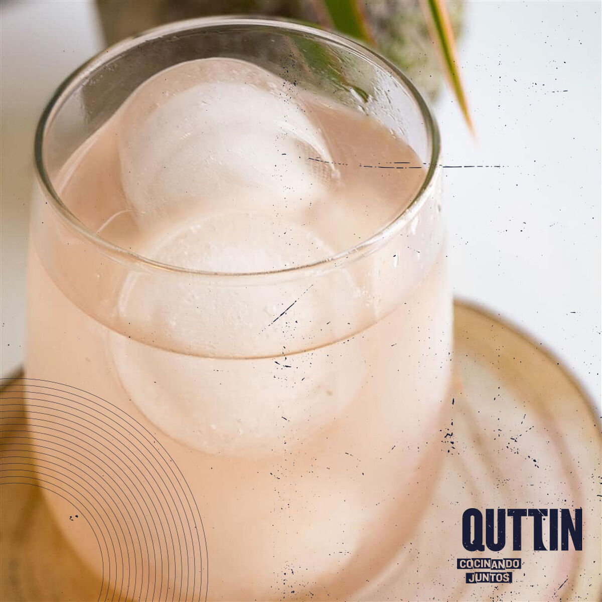 Molde para Cubitos de Hielo Quttin 36 x 13 x 3,5 cm (18 Unidades)