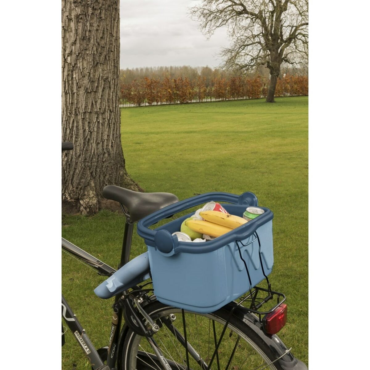 Nevera Portátil Curver 261193 Azul 10 L Plástico (1 Pieza)