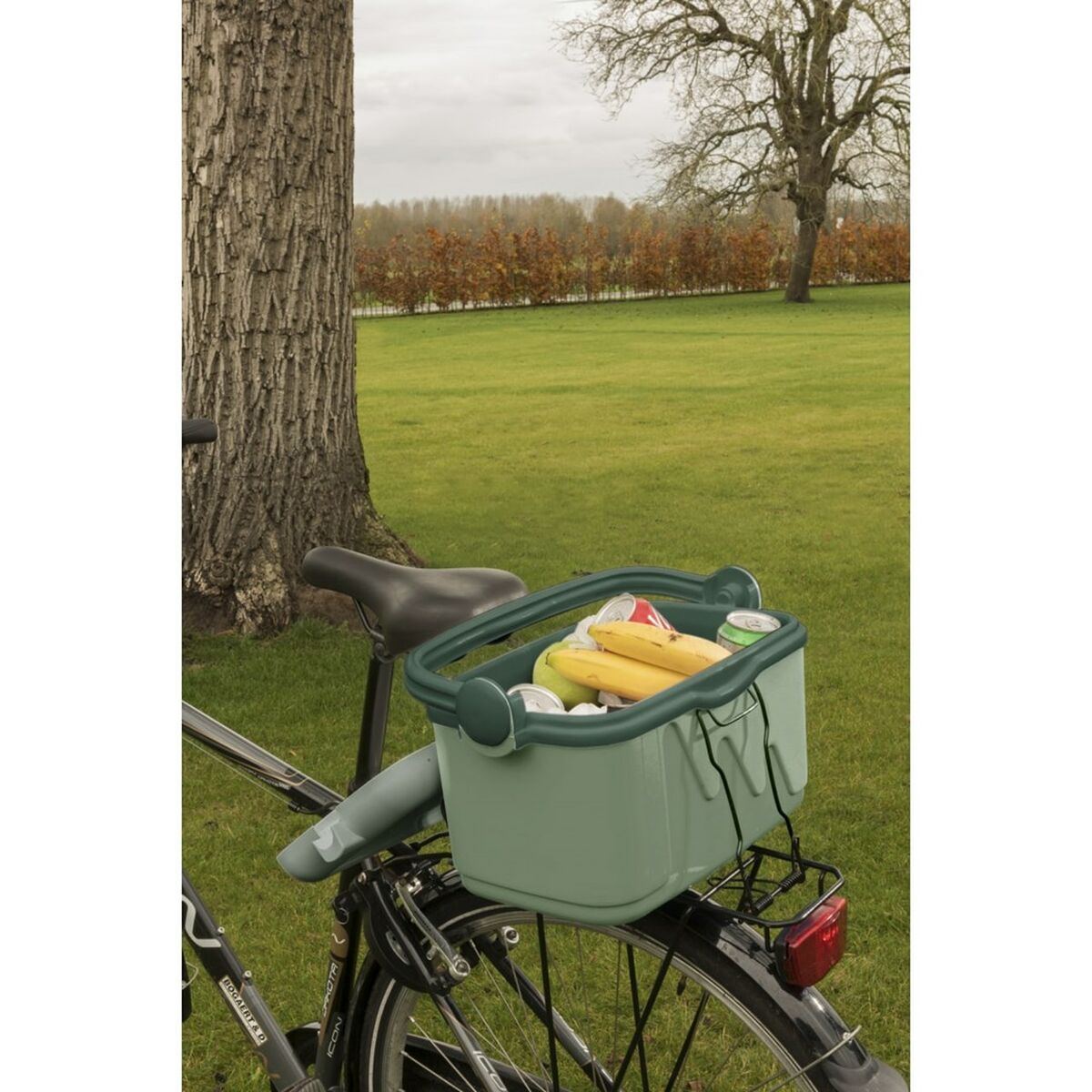 Nevera Portátil Curver 261196 Verde 10 L Plástico (1 Pieza)