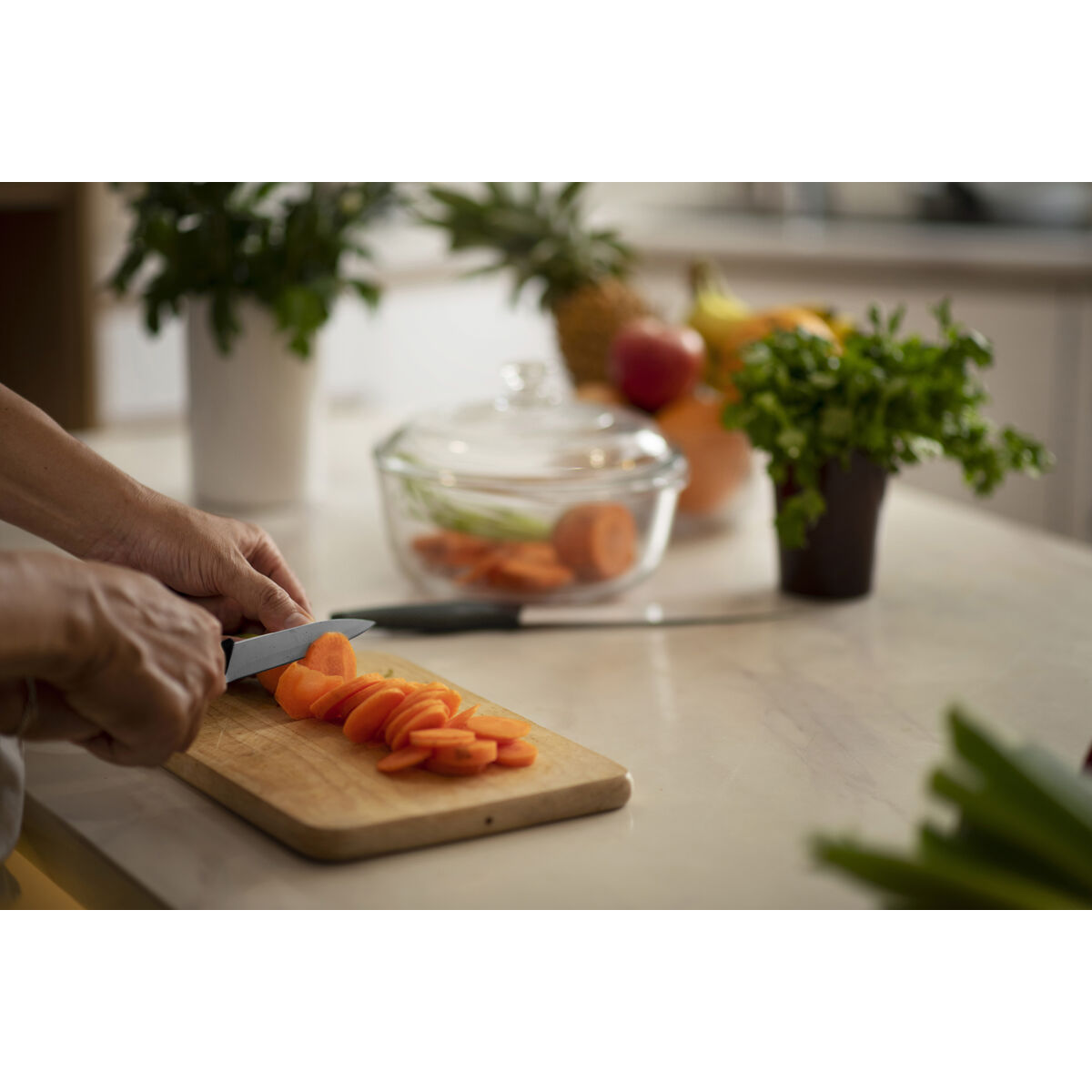 Set de Cuchillos Peladores Cuyfor 2 Piezas (12 Unidades)