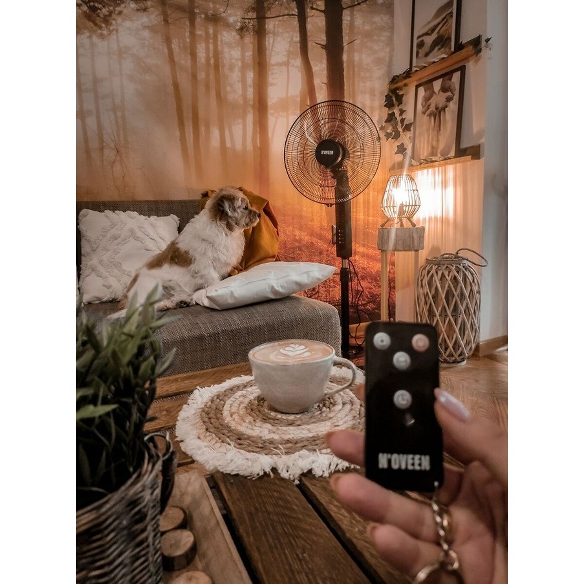 Ventilador de Pie N'oveen F455 Negro 55 W