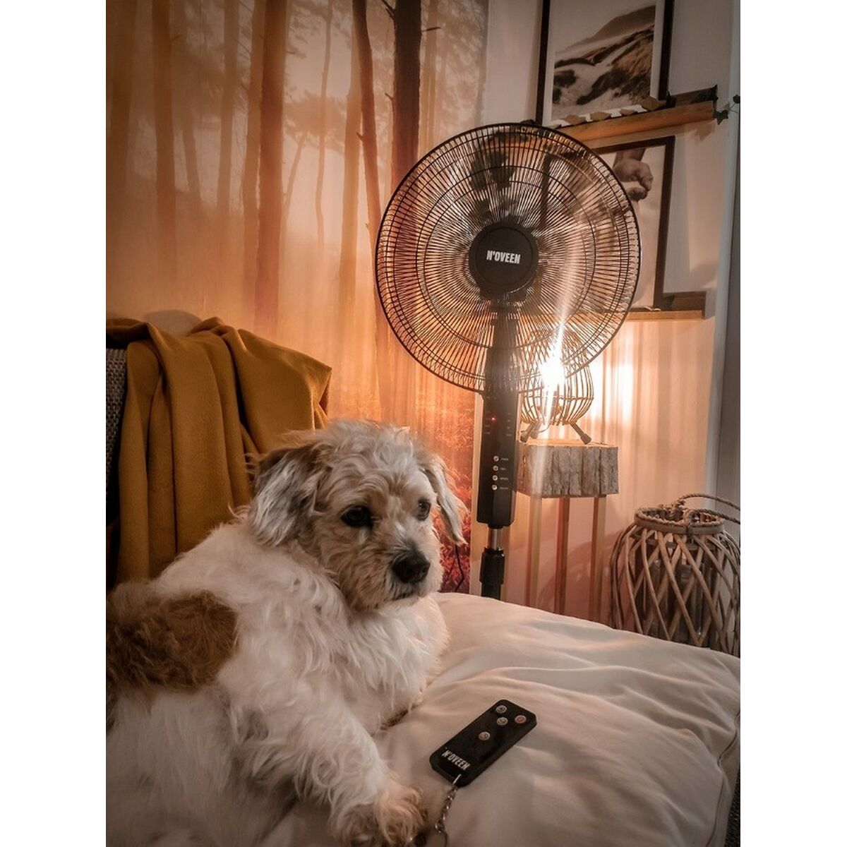 Ventilador de Pie N'oveen F455 Negro 55 W