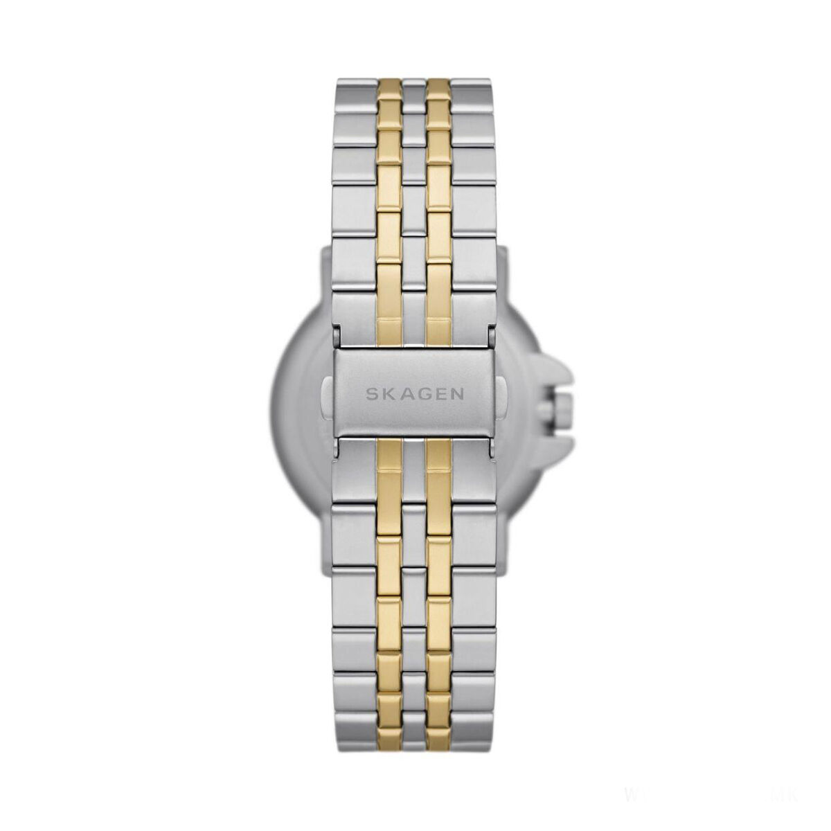 Reloj Hombre Skagen SKW6921 Plateado (Ø 40 mm)