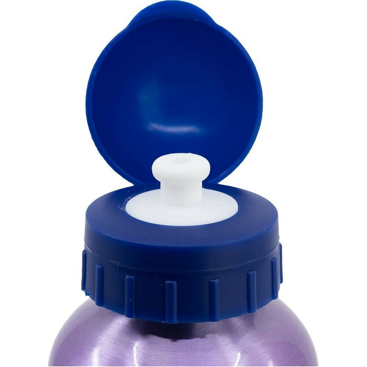 Botella de Agua Frozen CZ11261 530 ml Azul Aluminio