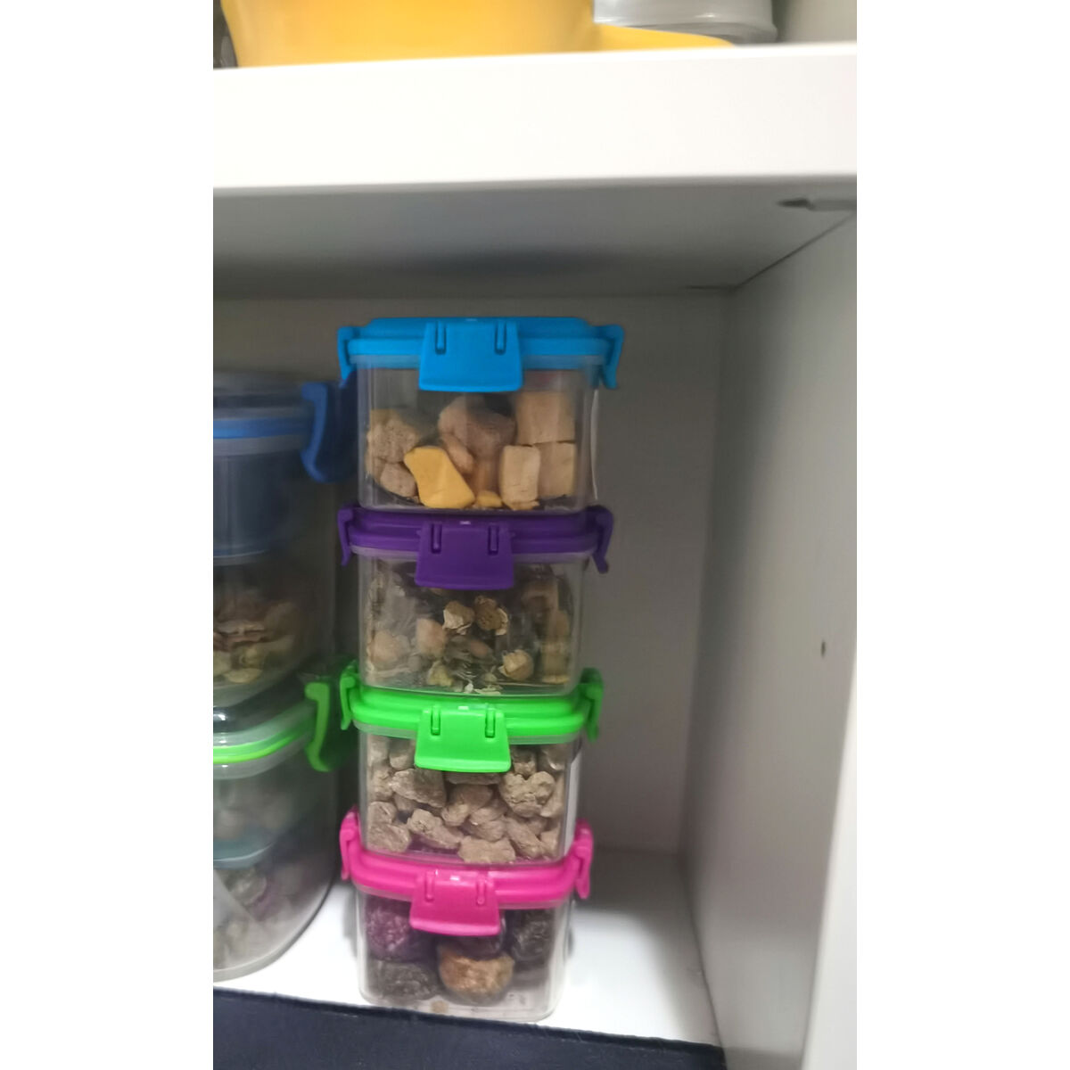 Set de Fiambreras Privilege 65 ml Mini 4 Piezas (24 Unidades)