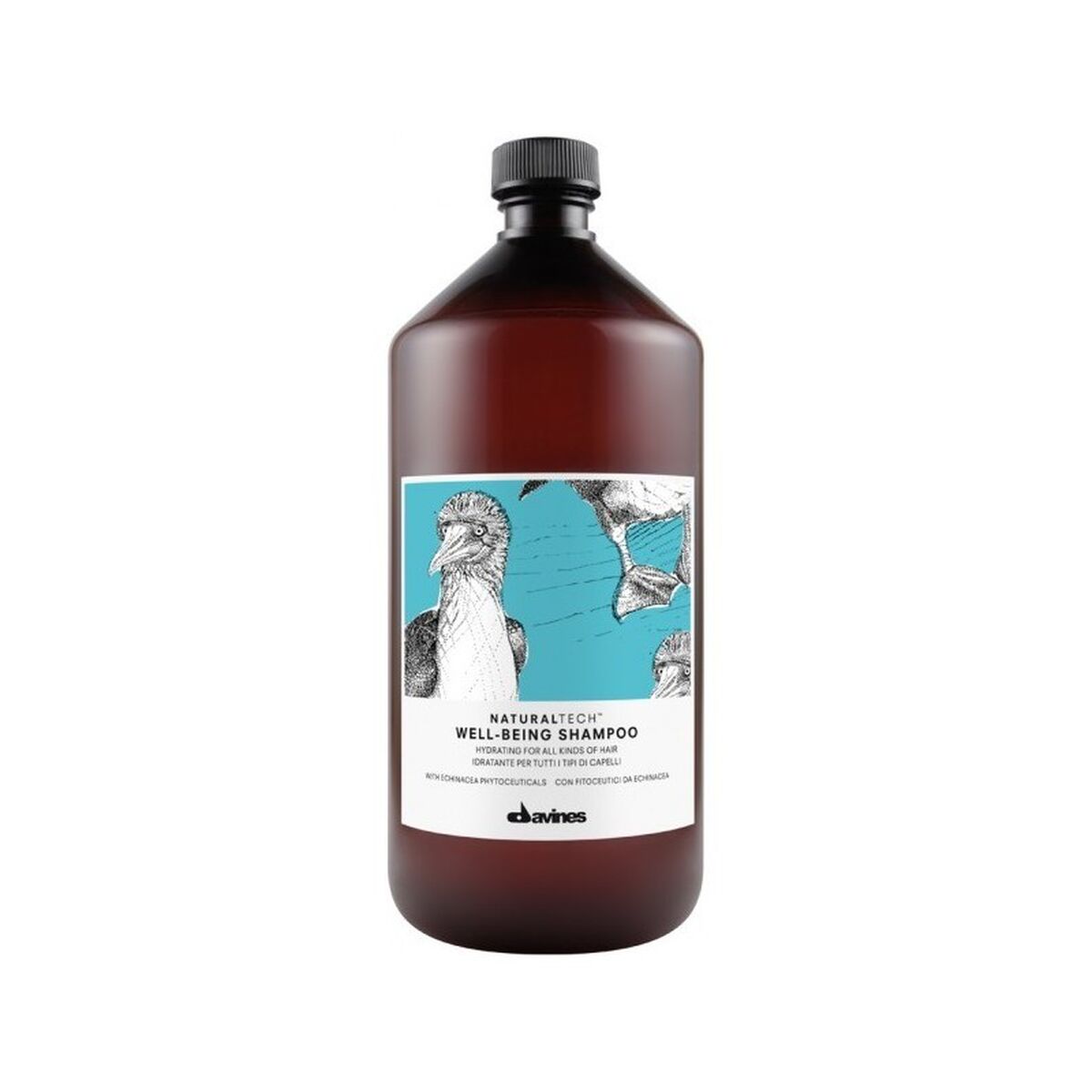 Champú Hidratante Davines Well-Being 1 L