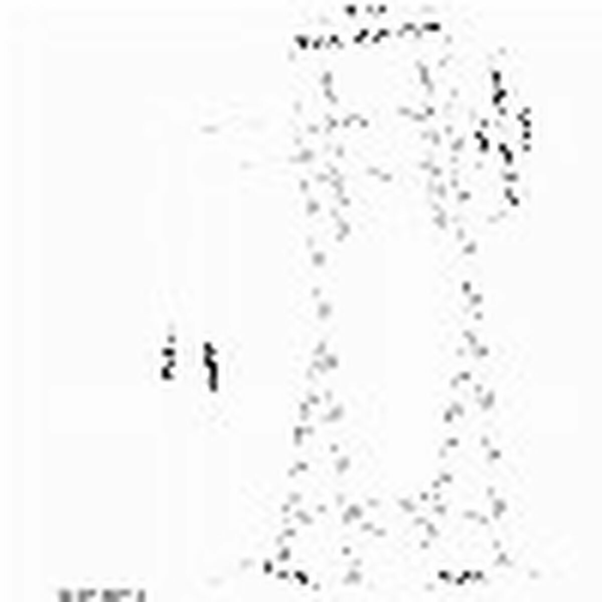 Soporte TV Neomounts PLASMA-M1000 32" 55" 35 kg