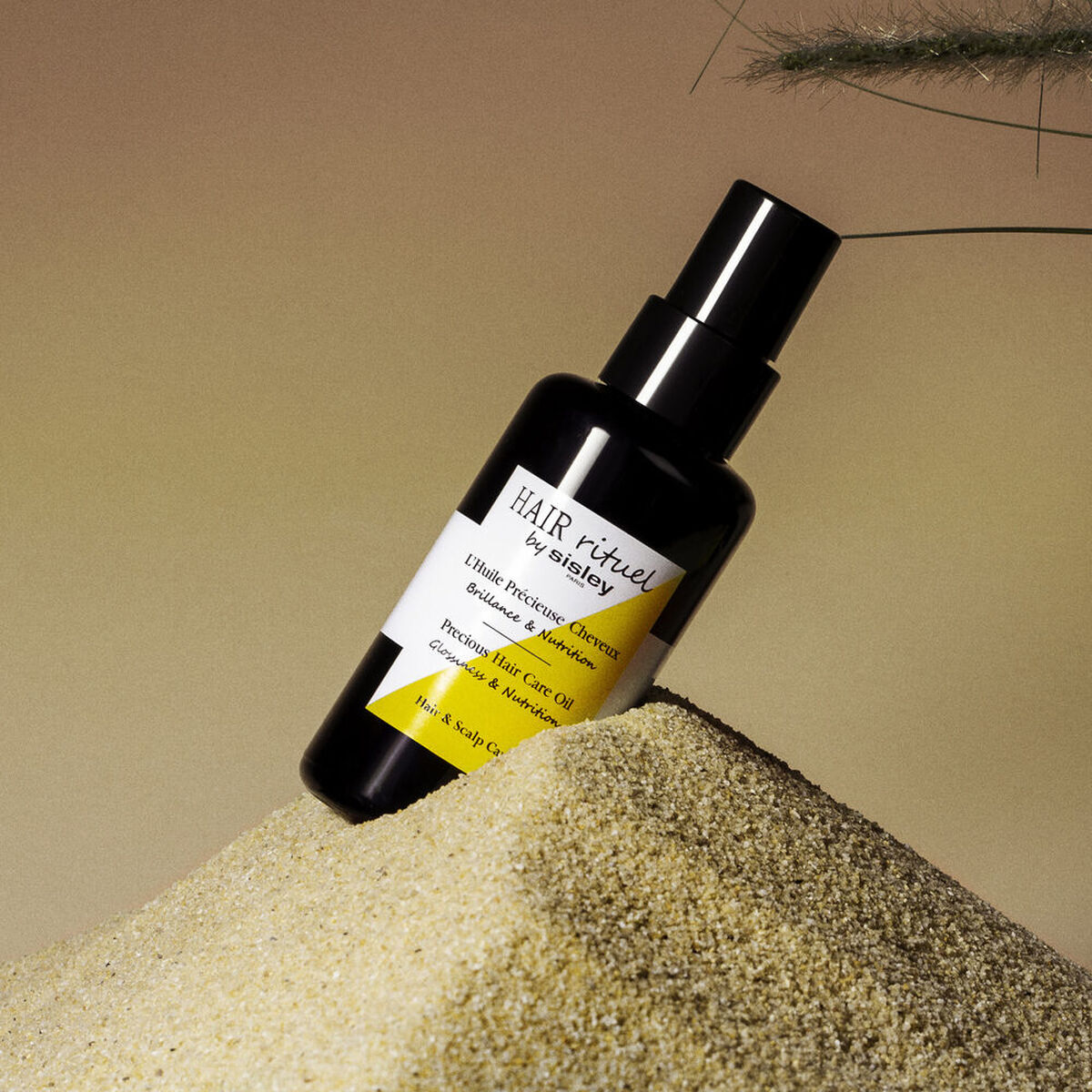 Tratamiento Hidratante Sisley Huile Précieuse Cheveux 100 ml (1 unidad)