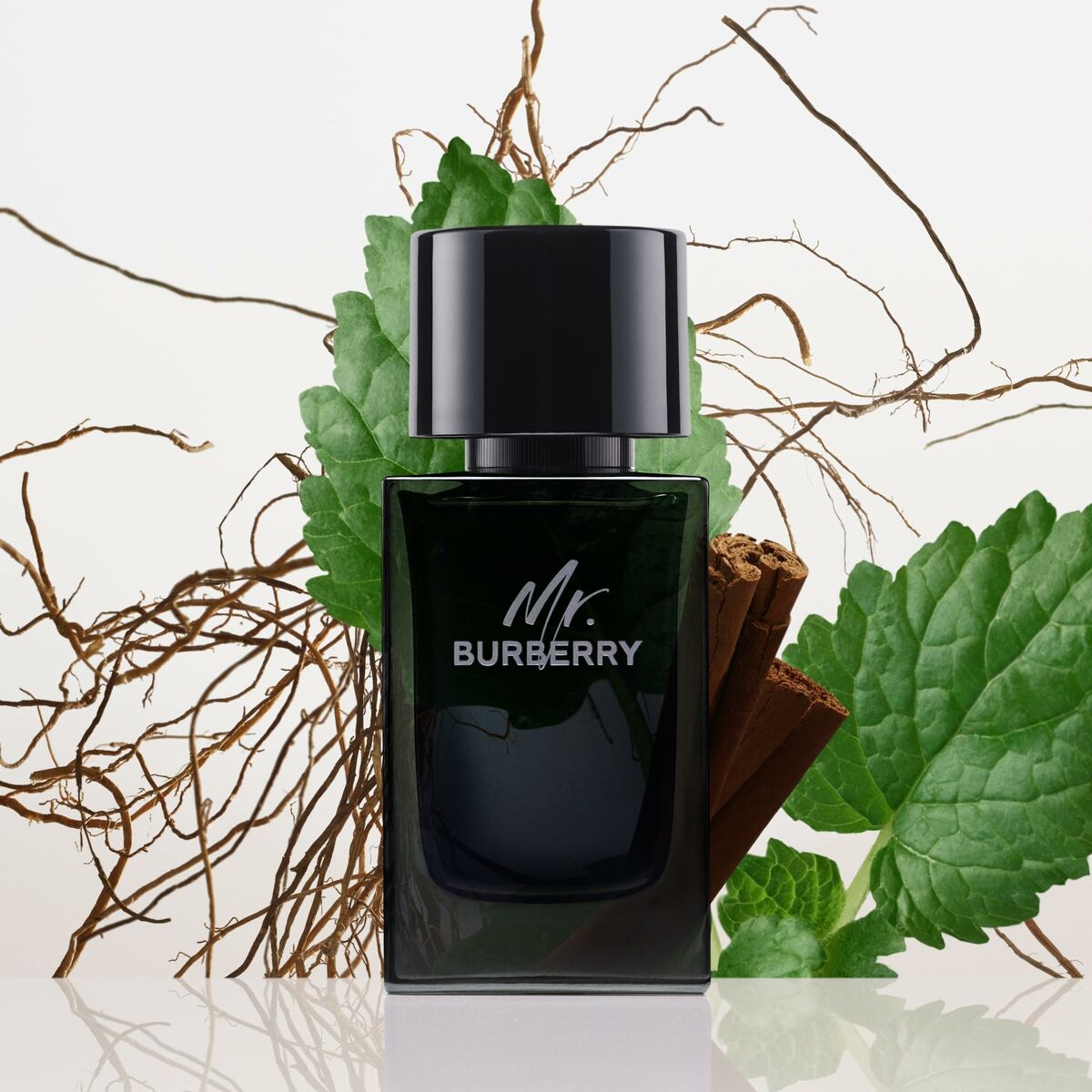 Perfume Hombre Burberry Mr. Burberry 100 ml