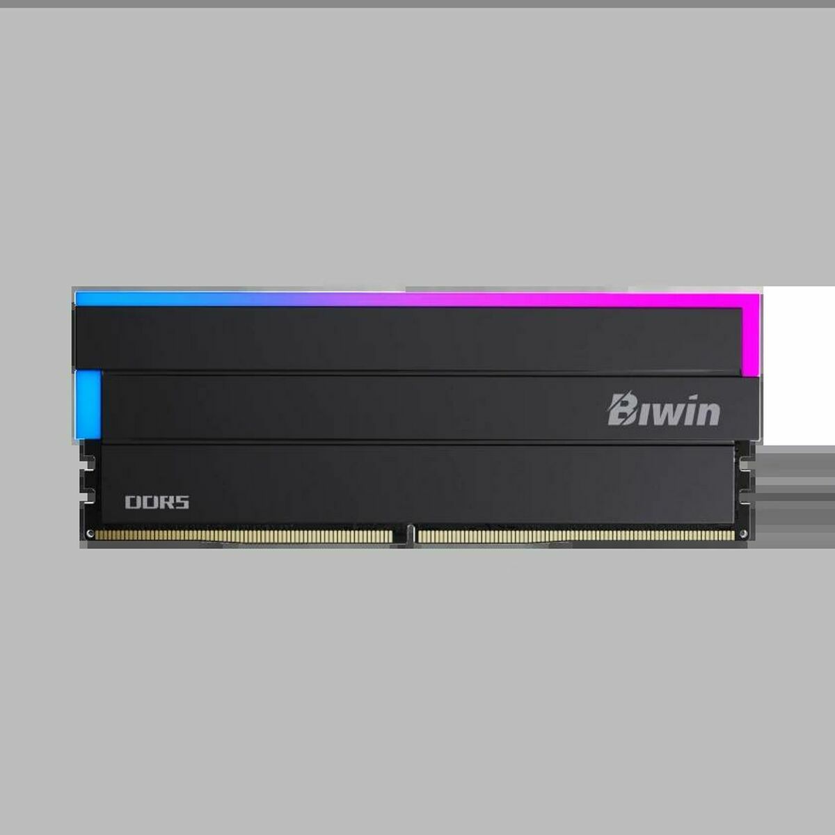 Memoria RAM Biwin DW100 DDR5 6000 MHz 32 GB Negro