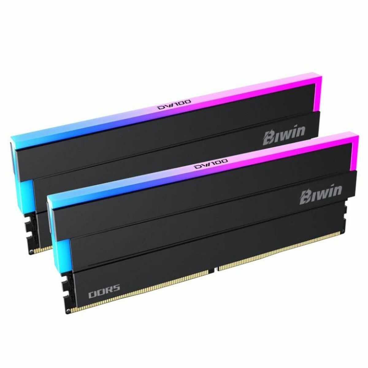Memoria RAM Biwin DW100 DDR5 6000 MHz 32 GB Negro