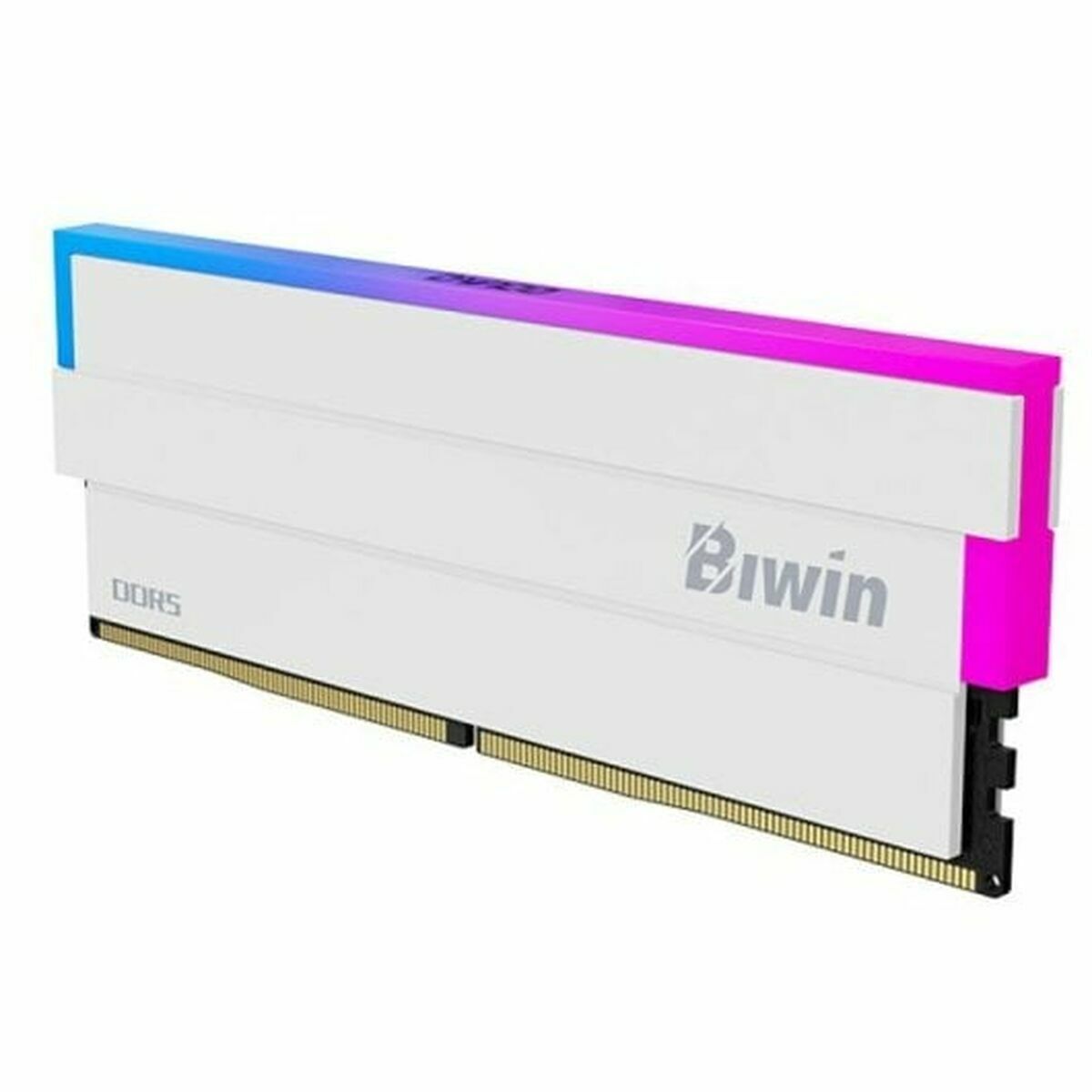 Memoria RAM Biwin DW100 DDR5 6000 MHz 32 GB cl30