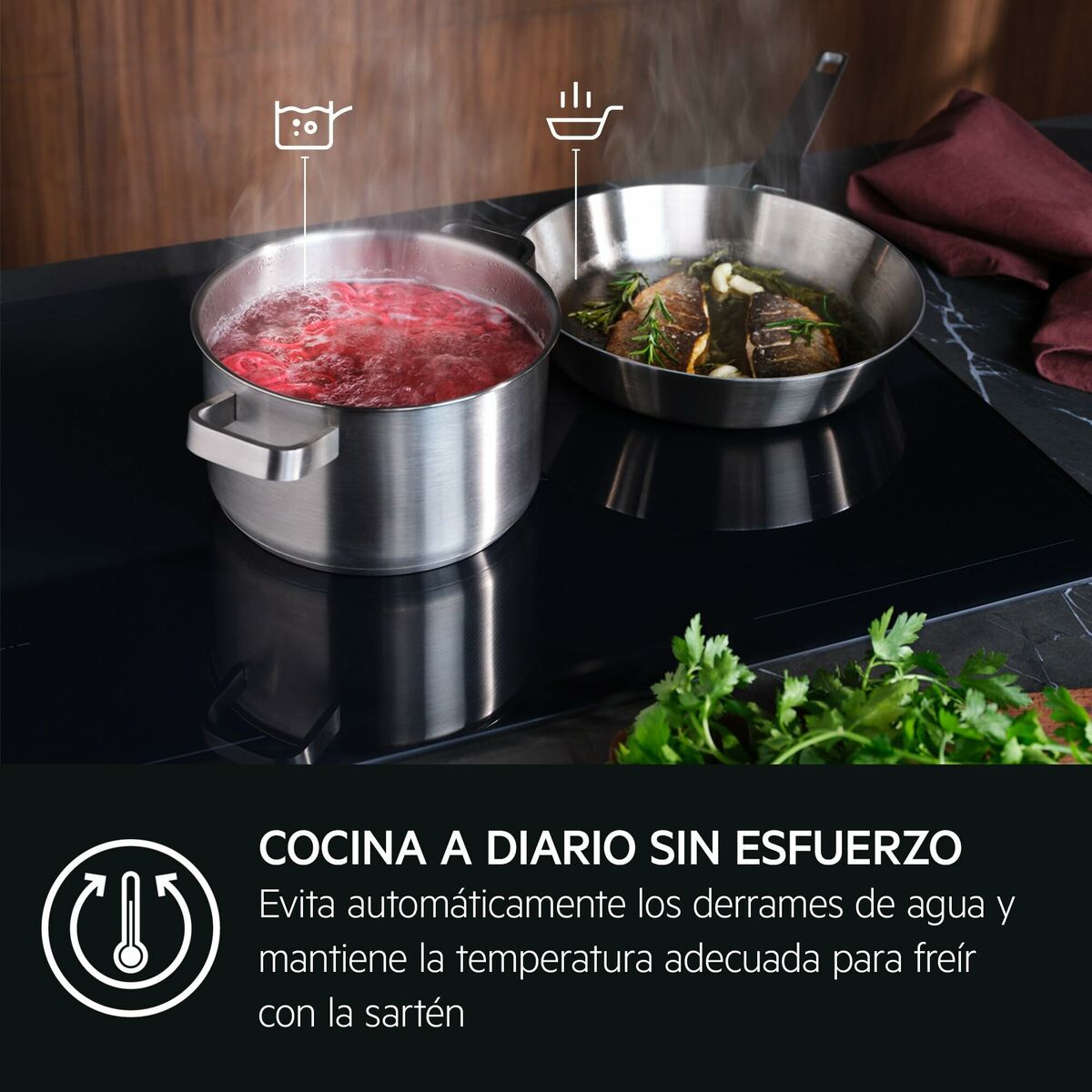 Placa de Inducción AEG