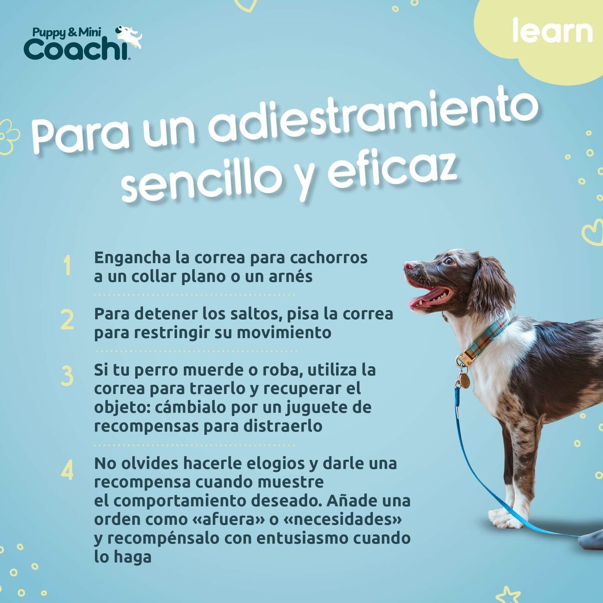 Arnés para Perro Coachi