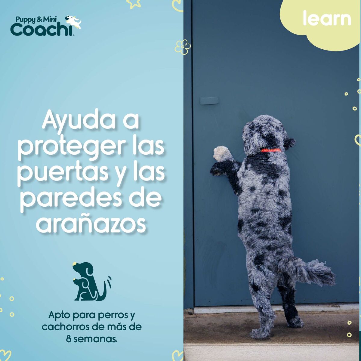 Arnés para Perro Coachi