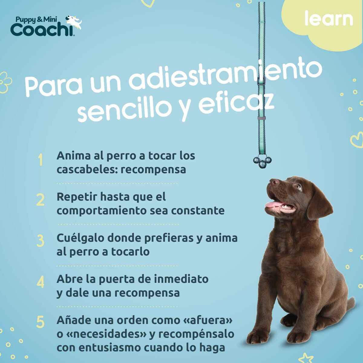 Arnés para Perro Coachi