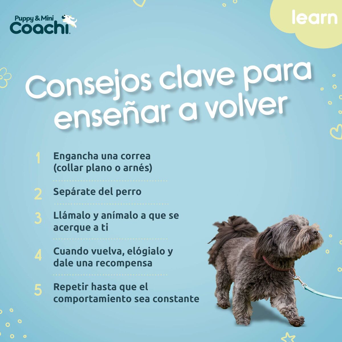Arnés para Perro Coachi