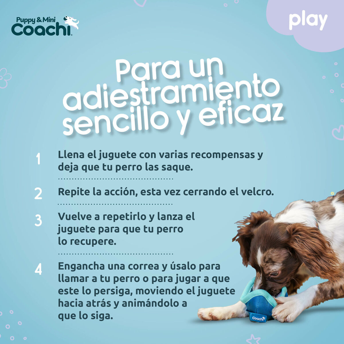 Arnés para Perro Coachi