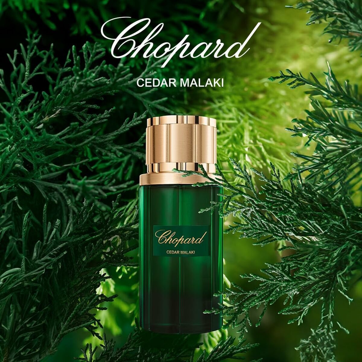Perfume Mujer Chopard EDP
