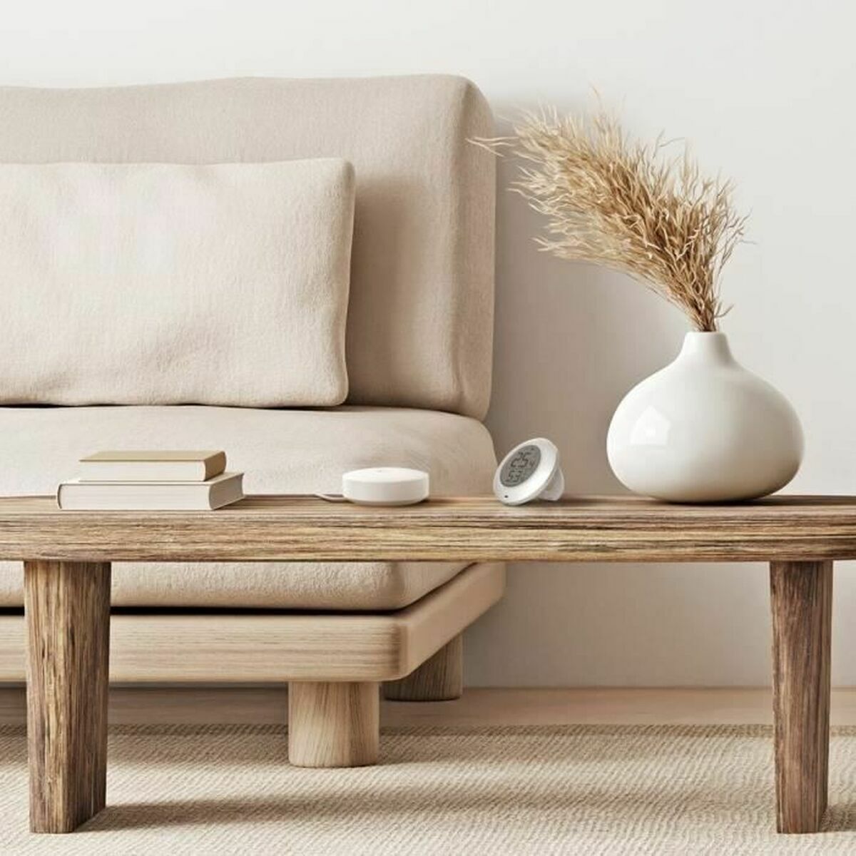 Termómetro Digital Ezviz CS-T51C-A0-BG