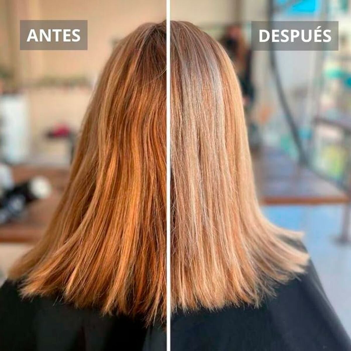 Mascarilla Capilar Naturtint SILVER 200 ml