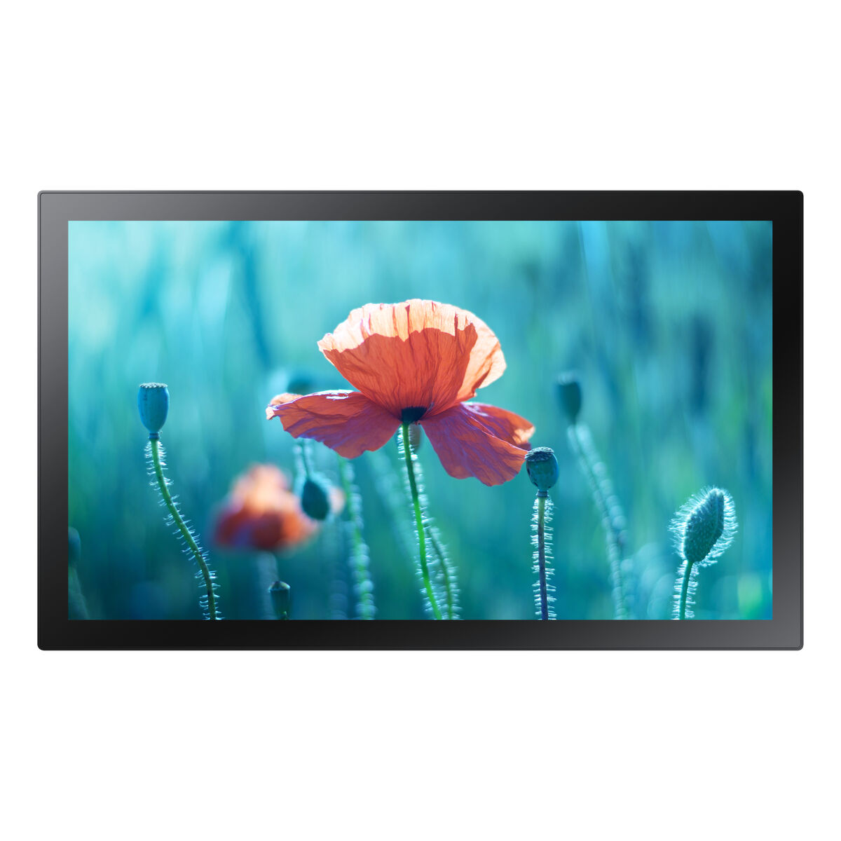 Monitor Videowall Samsung LH13QBRTMGCXEN Full HD 13" 75 Hz