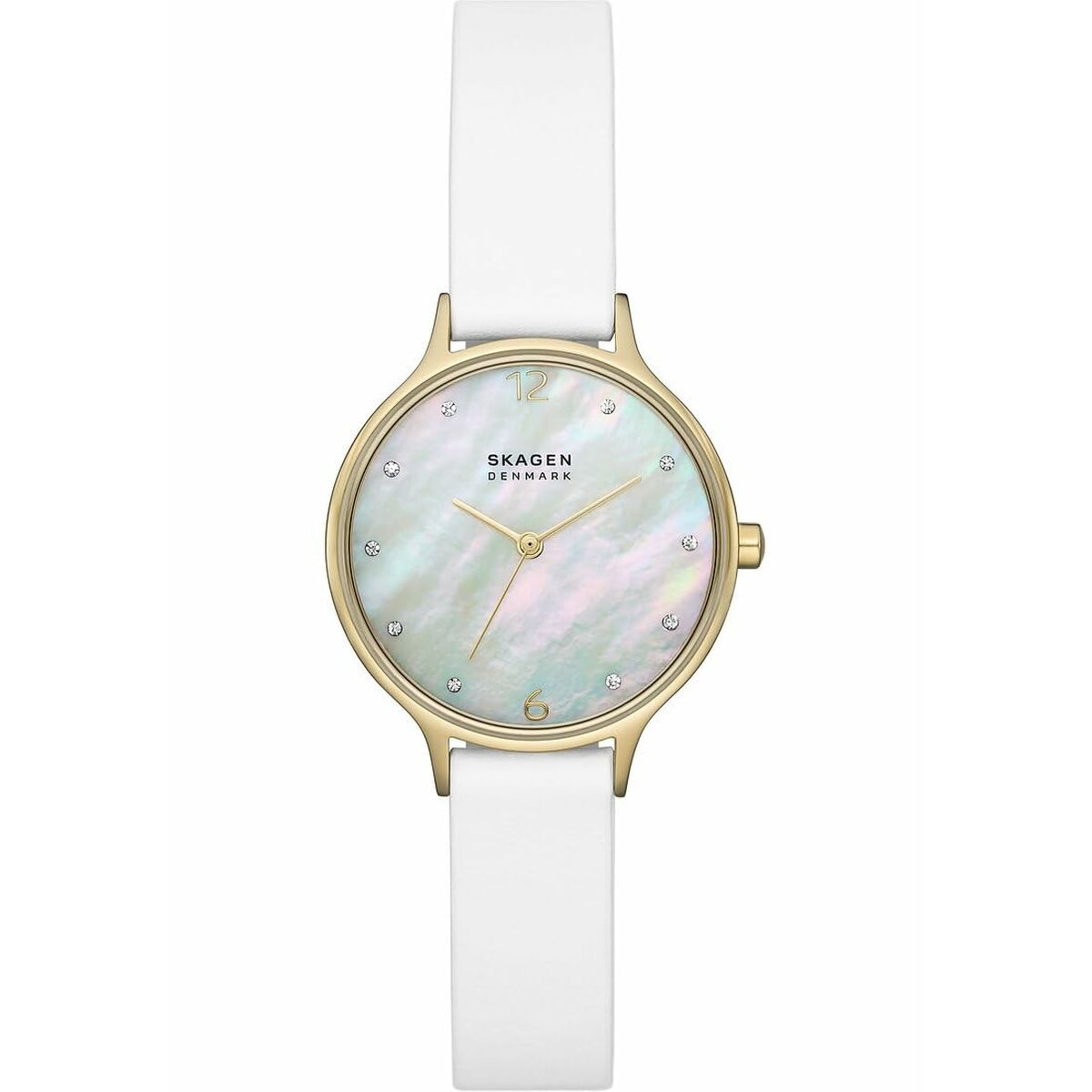 Reloj Mujer Skagen SKW3138