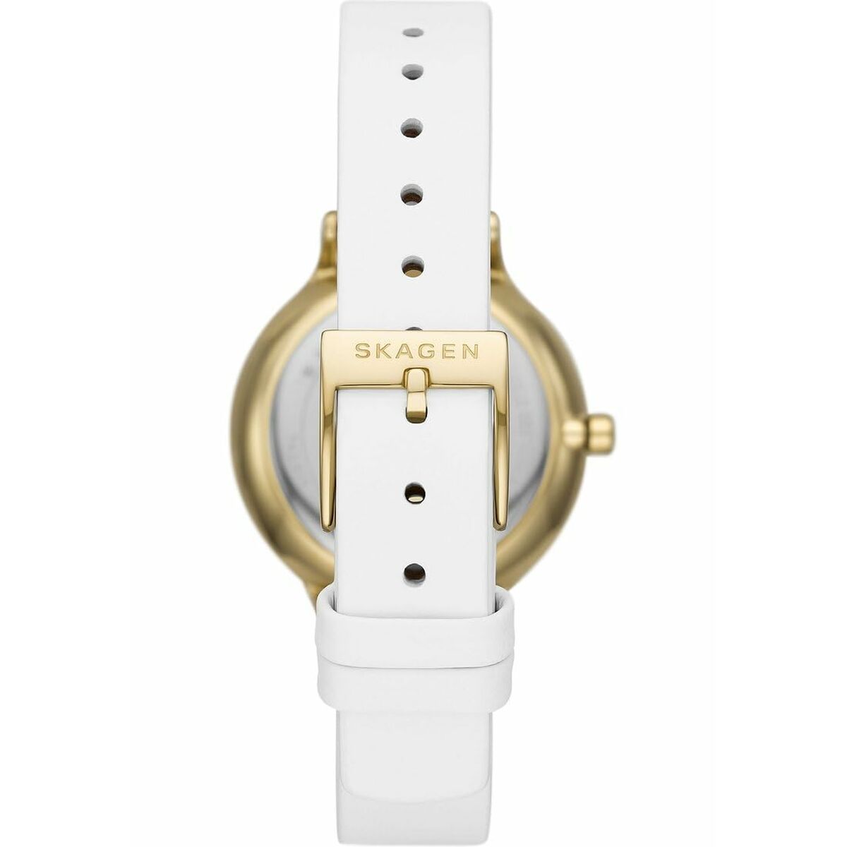 Reloj Mujer Skagen SKW3138