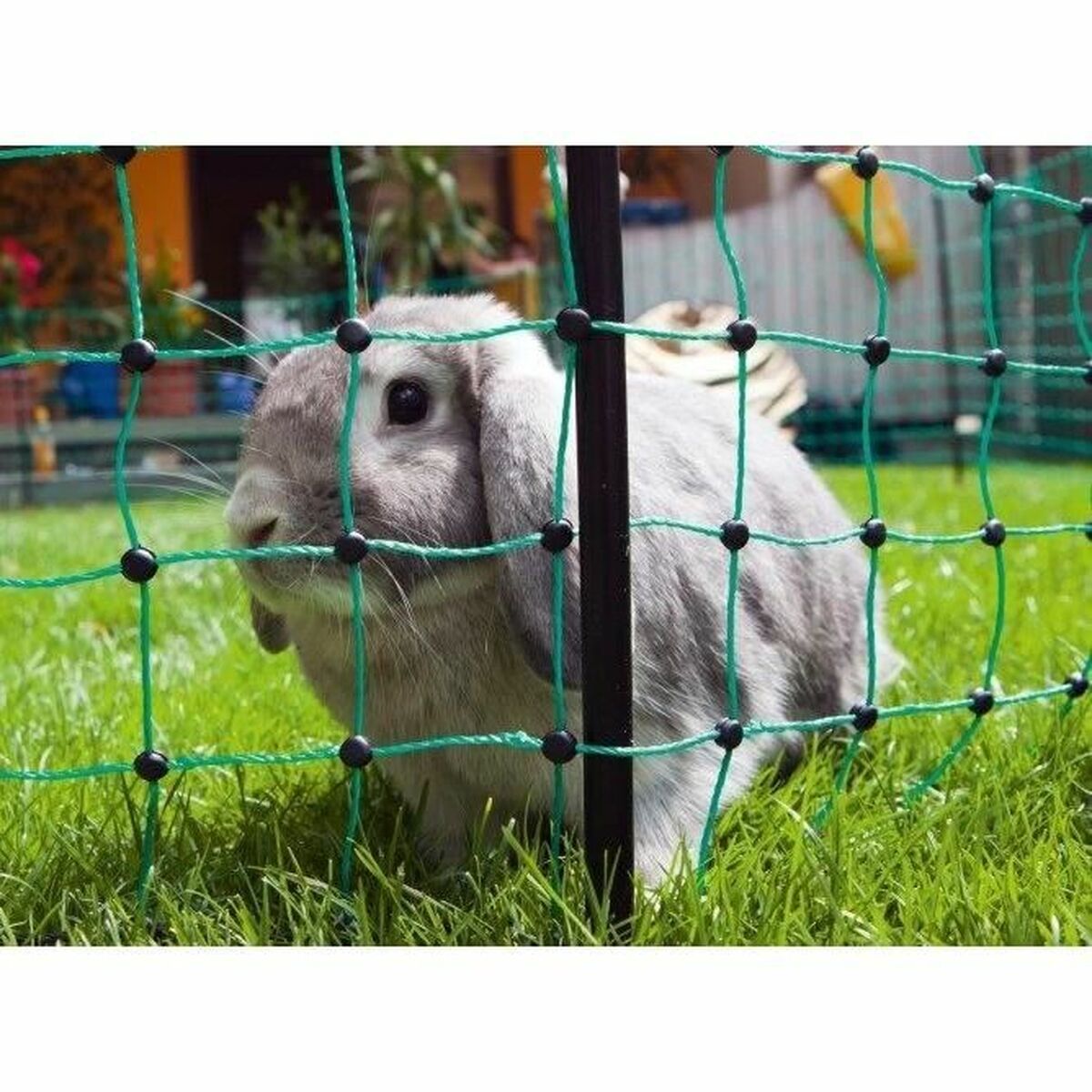 Red de Seguridad para Mascotas Kerbl Verde