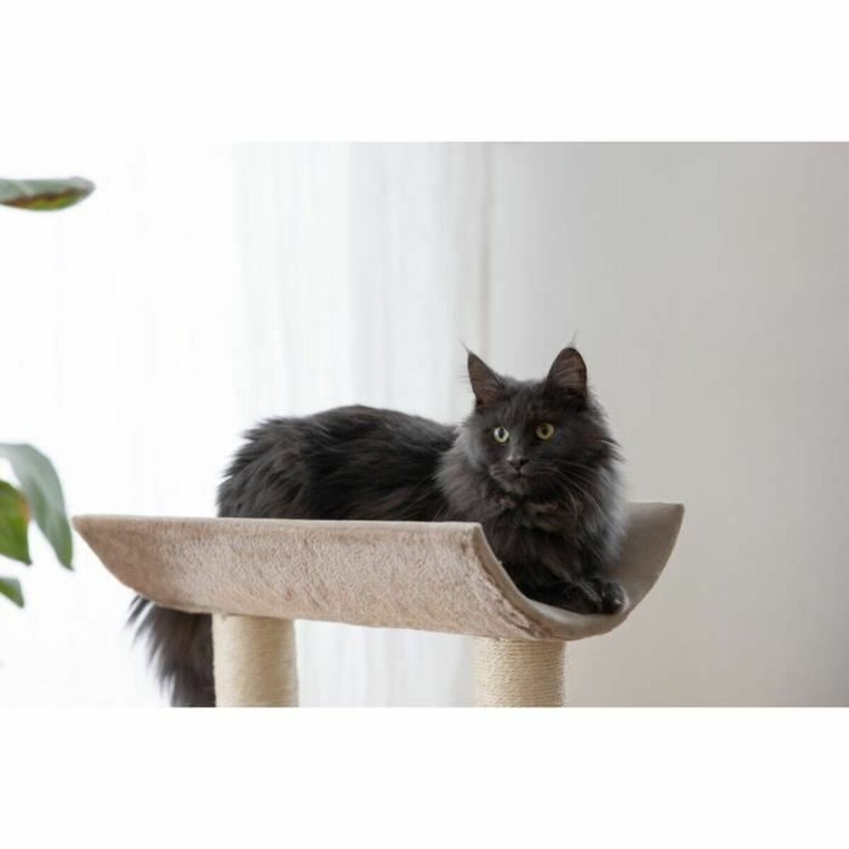 Árbol rascador para gatos Kerbl Taupé Sisal