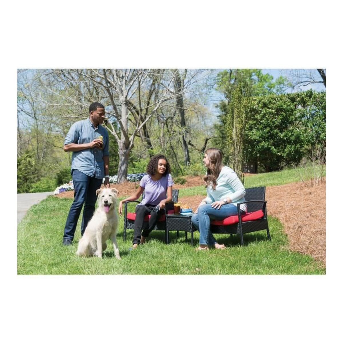 Collar antiladrido PetSafe