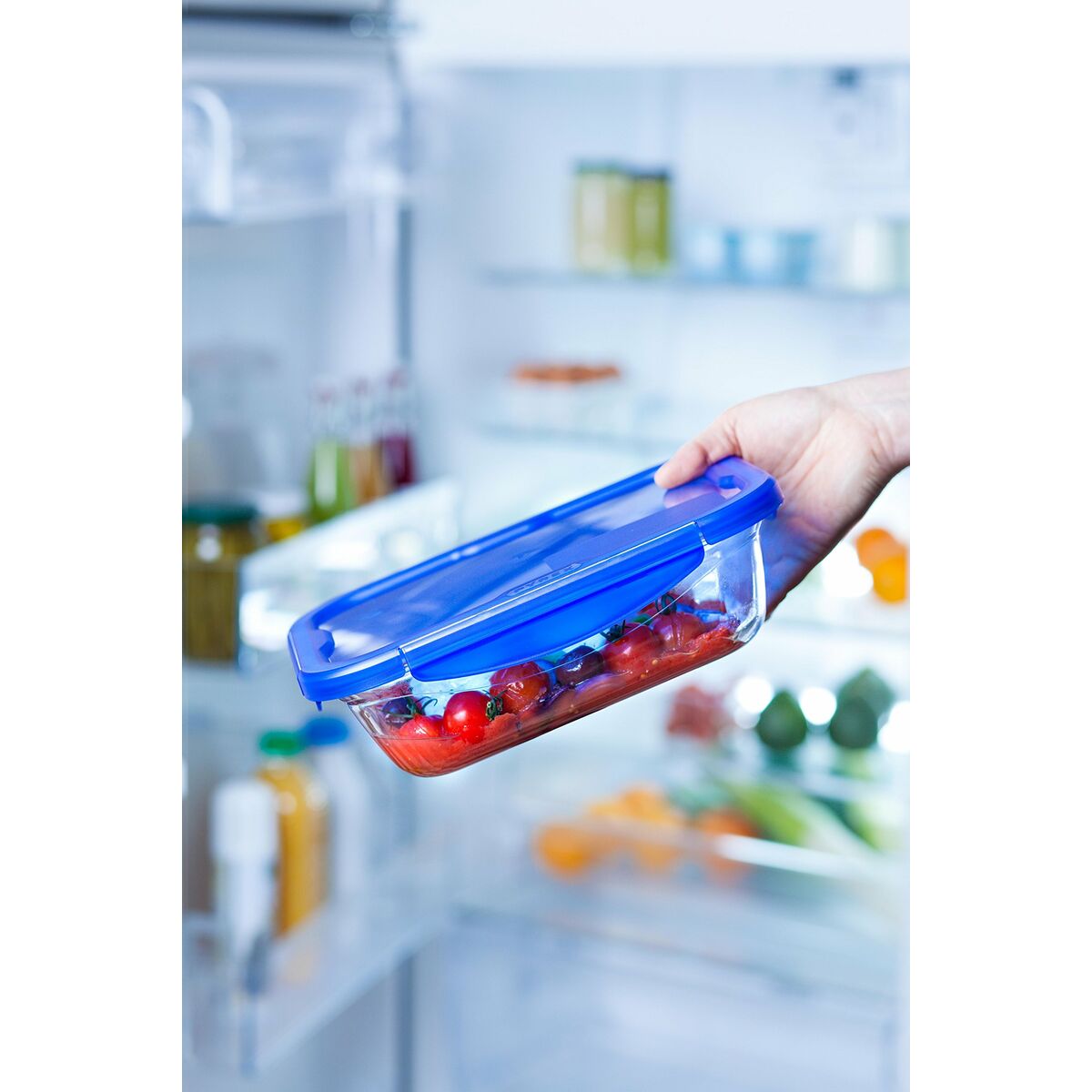 Recipiente Conservador de Alimentos Pyrex Azul Transparente Rectangular 800 ml