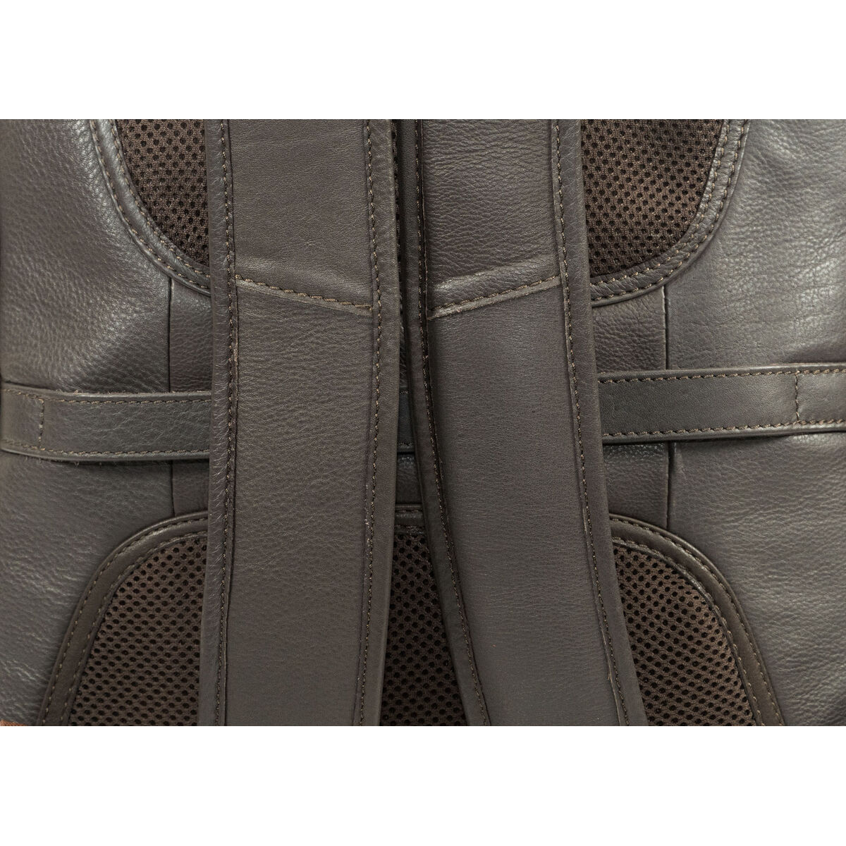 Bolso para Mascotas Gloria