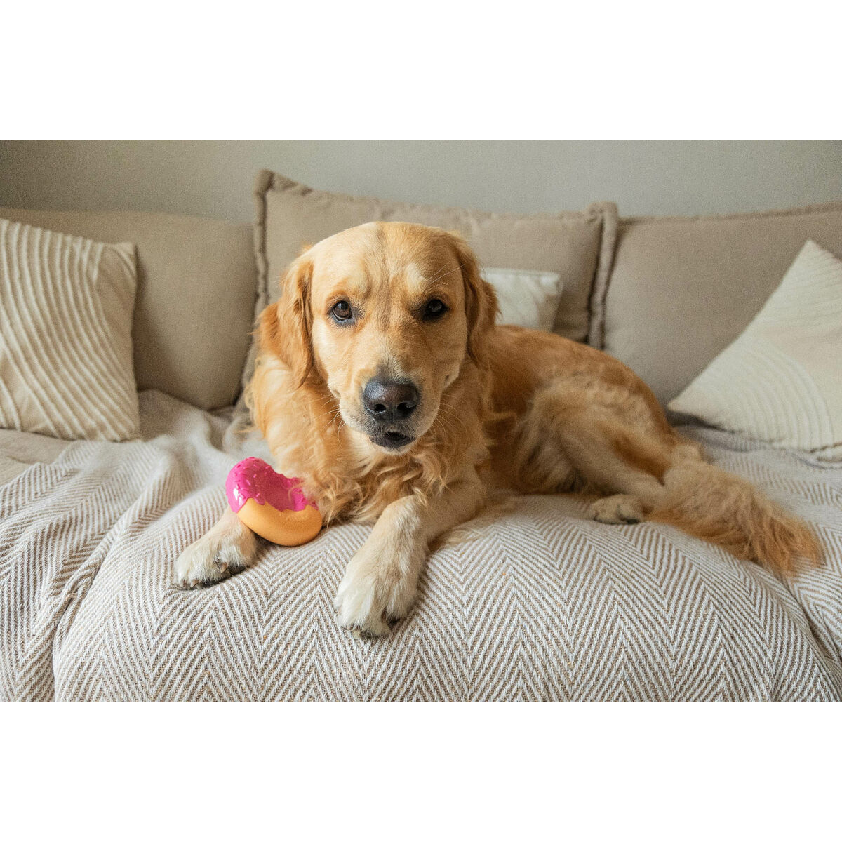 Juguete para perros Nylabone Rosa Bacon L