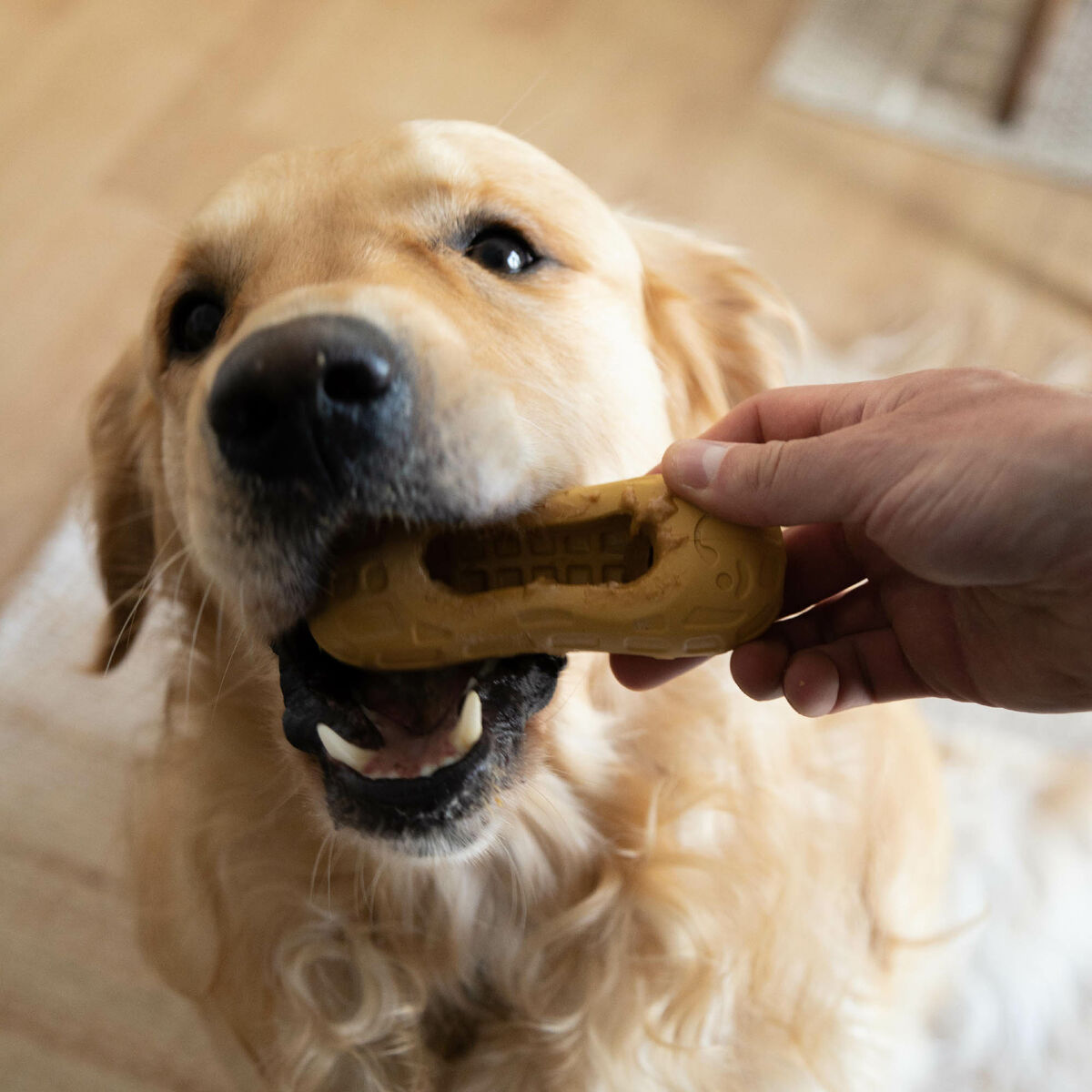 Juguete para perros Nylabone Marrón Manteca de cacahuete M