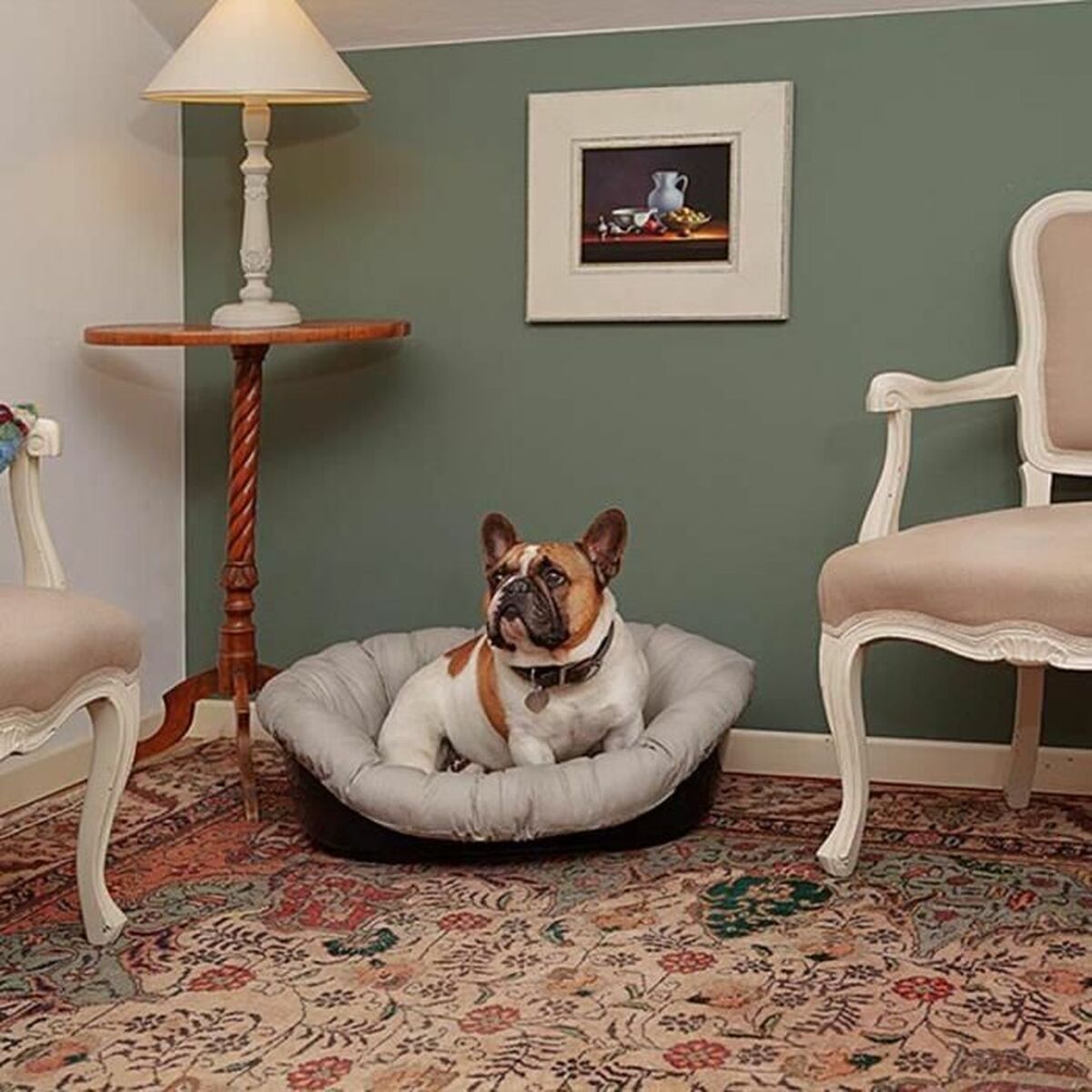 Cama para Perro Ferplast
