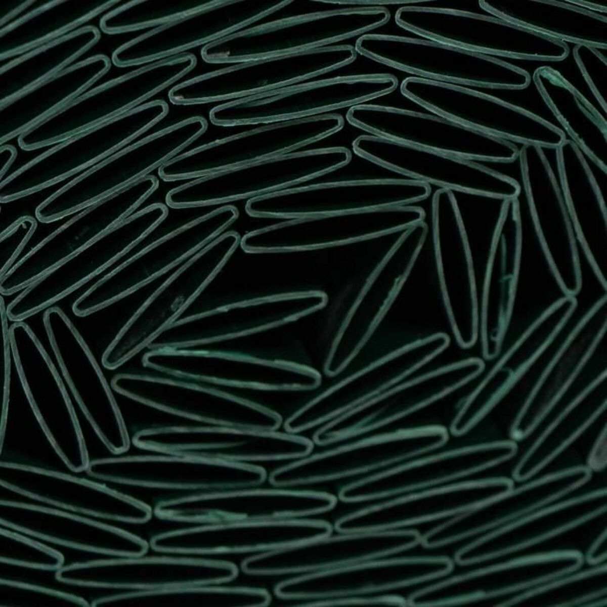 Malla de Ocultación Nature Verde