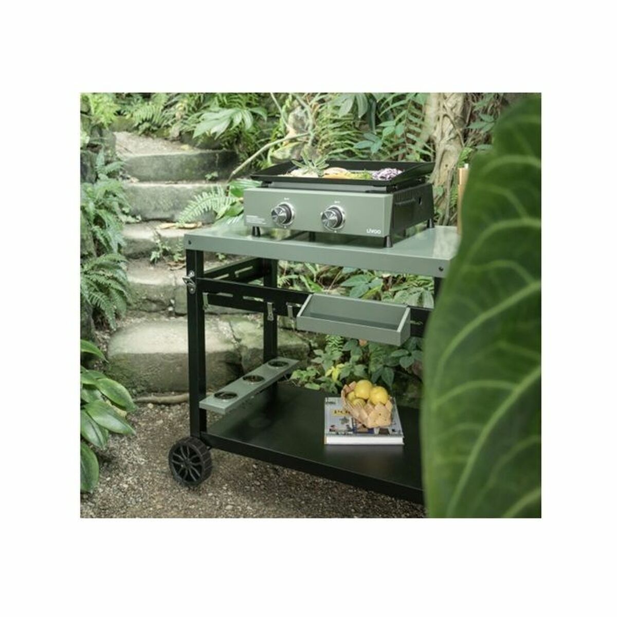 Plancha de Cocina Livoo