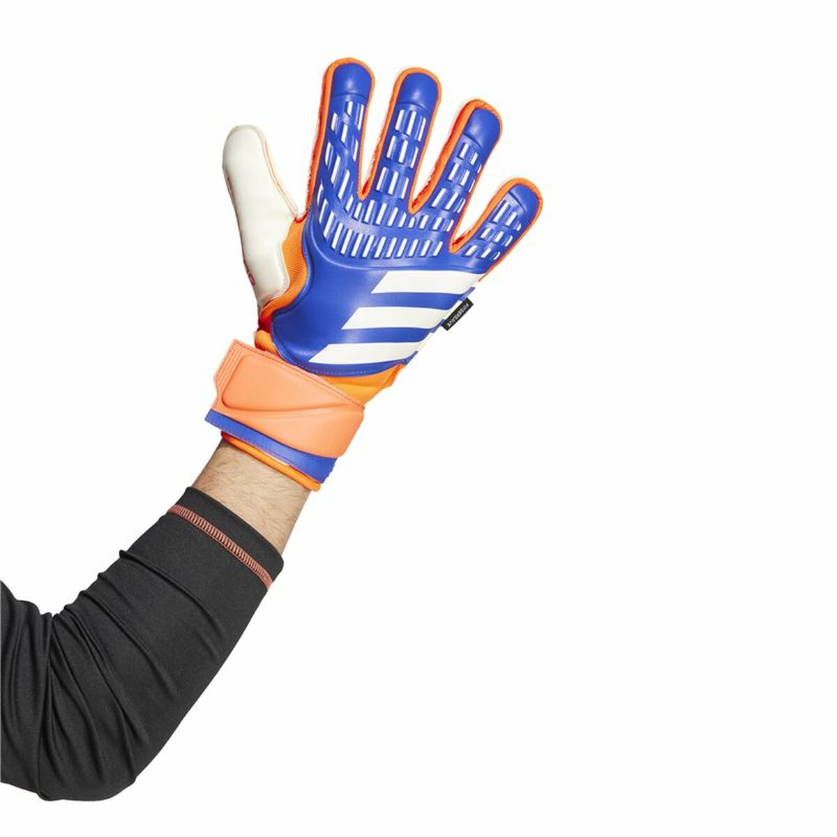 Guantes de Portero Adidas Predator Match Azul Adultos