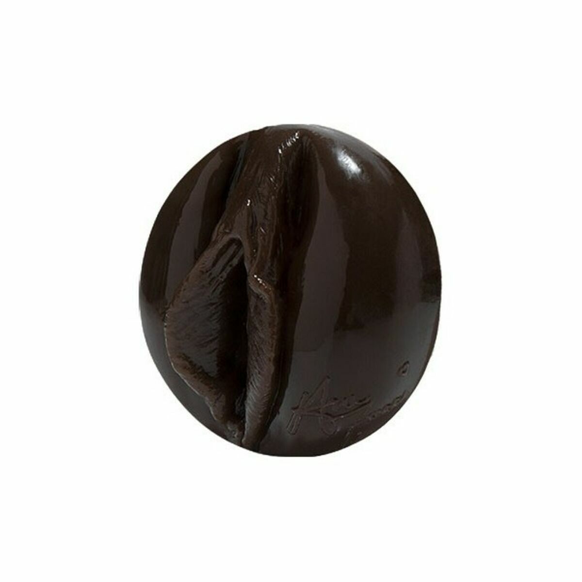 Masturbador Fleshlight ANA FOXXX